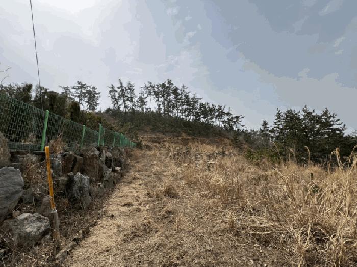충청남도 태안군 이원면 관리 1001-34 임야 경매 사진 4