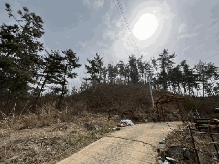 충청남도 태안군 이원면 관리 1001-34 임야 경매 사진 6