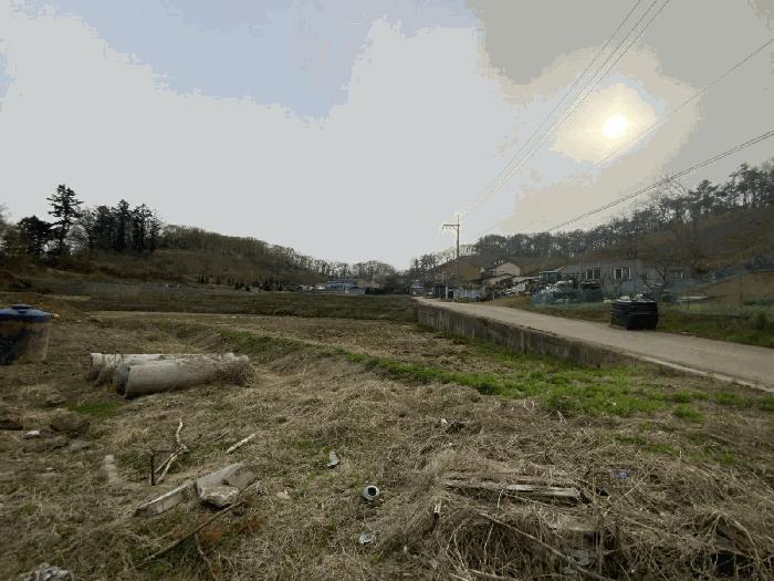 경기도 용인시 처인구 양지면 정수리 204-3 답 경매 사진 2
