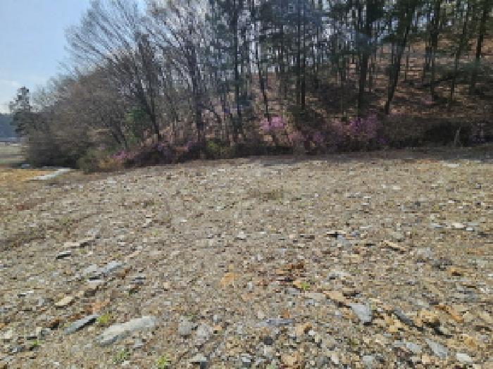 경기도 용인시 처인구 양지면 정수리 204-3 답 경매 사진 7