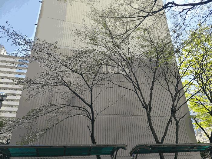경기도 수원시 권선구 금곡동 66 강남아파트 105동 2층201호 아파트 경매 사진 3
