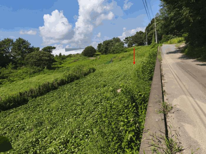 충청남도 아산시 선장면 궁평리 145-9 전 경매 사진 1