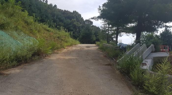 충청남도 천안시 동남구 목천읍 지산리 128-3 임야 경매 사진 15