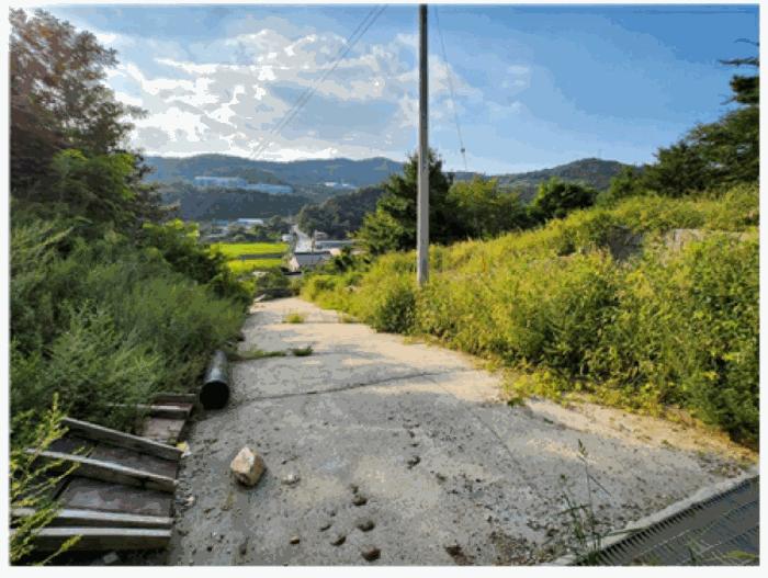 충청남도 천안시 동남구 목천읍 지산리 128-3 임야 경매 사진 3
