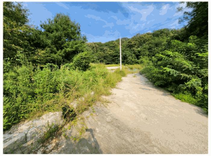 충청남도 천안시 동남구 목천읍 지산리 128-3 임야 경매 사진 5