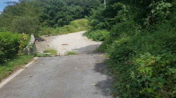 충청남도 천안시 동남구 목천읍 지산리 128-3 임야 경매 사진 7