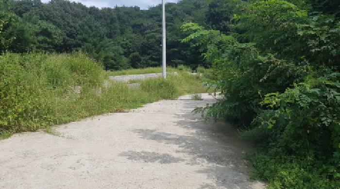 충청남도 천안시 동남구 목천읍 지산리 128-3 임야 경매 사진 8
