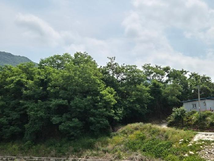 대구광역시 군위군 부계면 대율리 330 답 경매 사진 10
