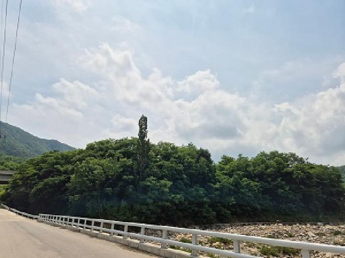 대구광역시 군위군 부계면 대율리 330 답 경매 사진 7