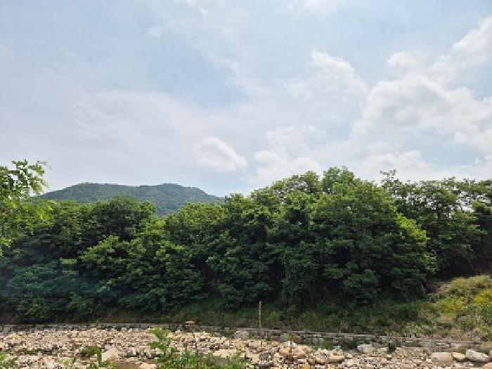 대구광역시 군위군 부계면 대율리 330 답 경매 사진 8