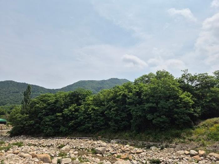 대구광역시 군위군 부계면 대율리 330 답 경매 사진 9