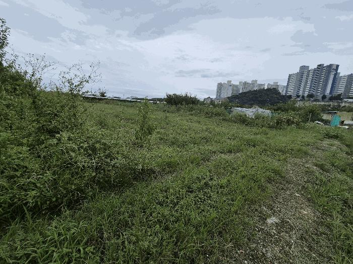 경상북도 경산시 진량읍 봉회리 62 근린시설 경매 사진 6