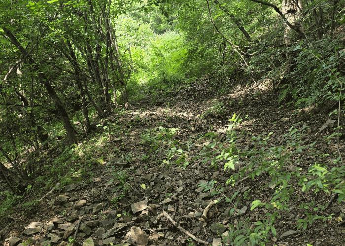경상북도 의성군 옥산면 오류리 438 답 경매 사진 7