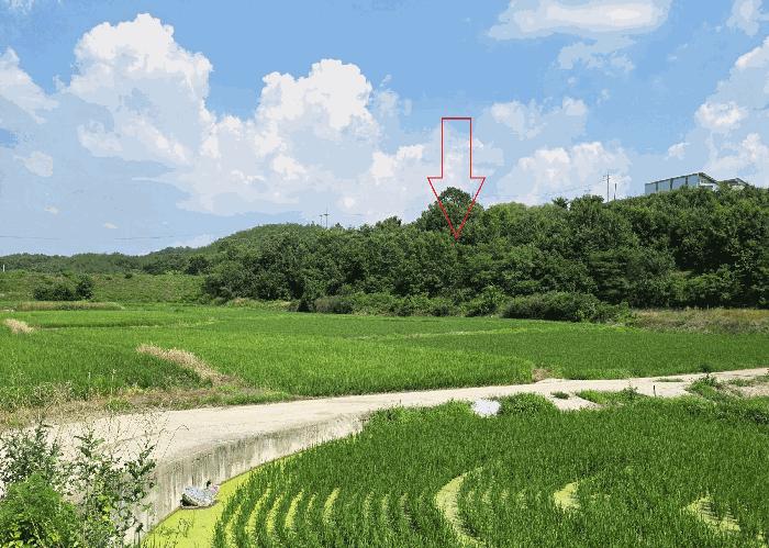 경상북도 의성군 옥산면 오류리 438 답 경매 사진 9