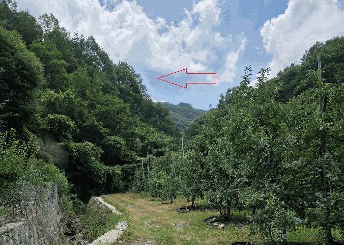 경상북도 의성군 금성면 하리 464 답 경매 사진 4