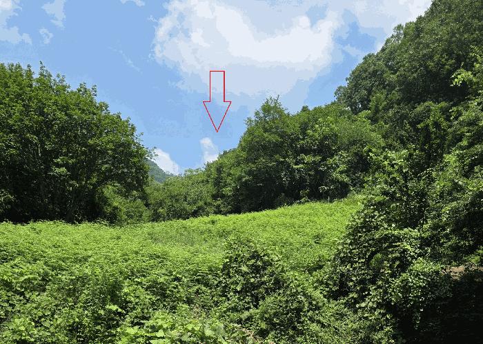 경상북도 의성군 옥산면 오류리 449 전 경매 사진 1
