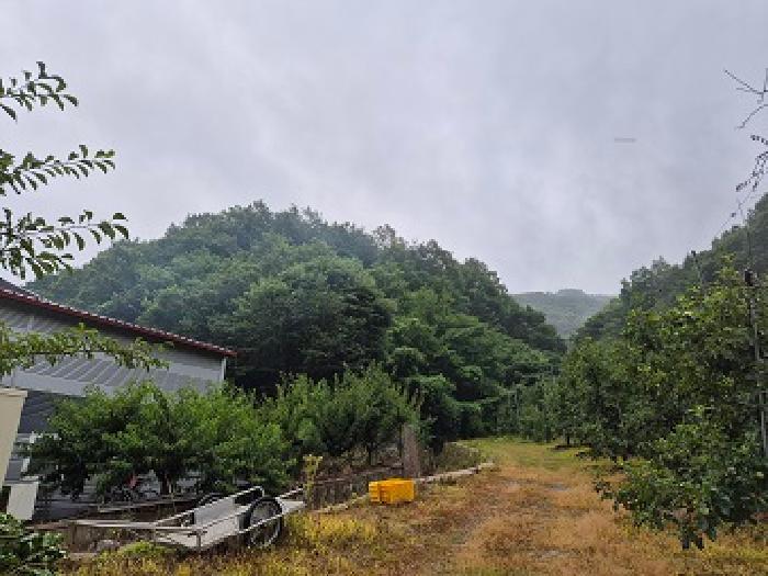 경상북도 의성군 옥산면 오류리 449 전 경매 사진 16