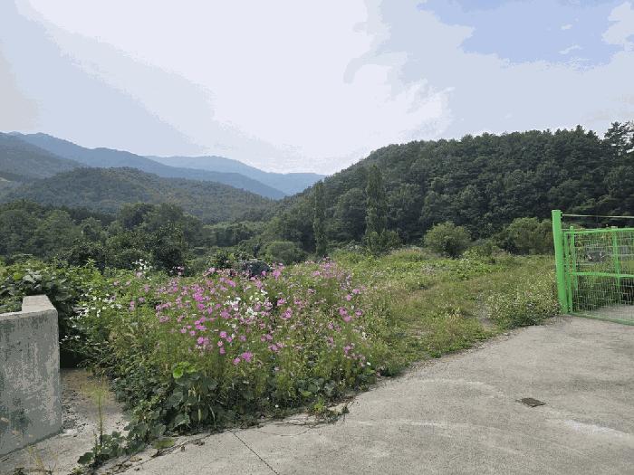 경상북도 칠곡군 가산면 학상리 35-1 전 경매 사진 1