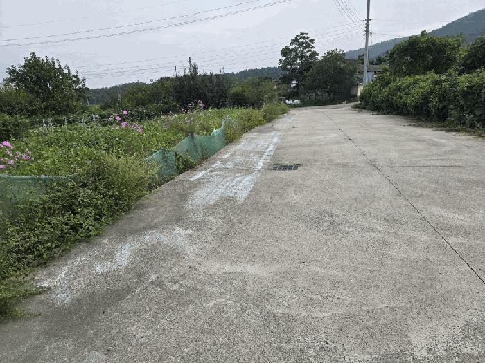 경상북도 칠곡군 가산면 학상리 35-1 전 경매 사진 3