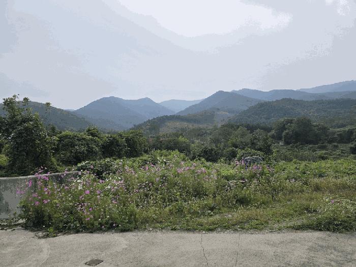경상북도 칠곡군 가산면 학상리 35-1 전 경매 사진 7