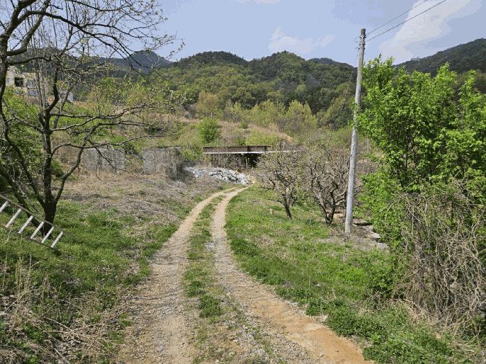 경상북도 김천시 양천동 산18 임야 경매 사진 13