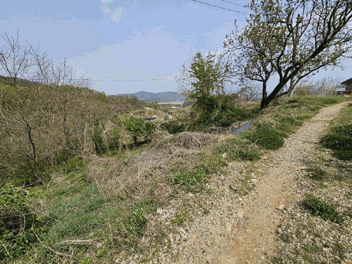 경상북도 김천시 양천동 산18 임야 경매 사진 3