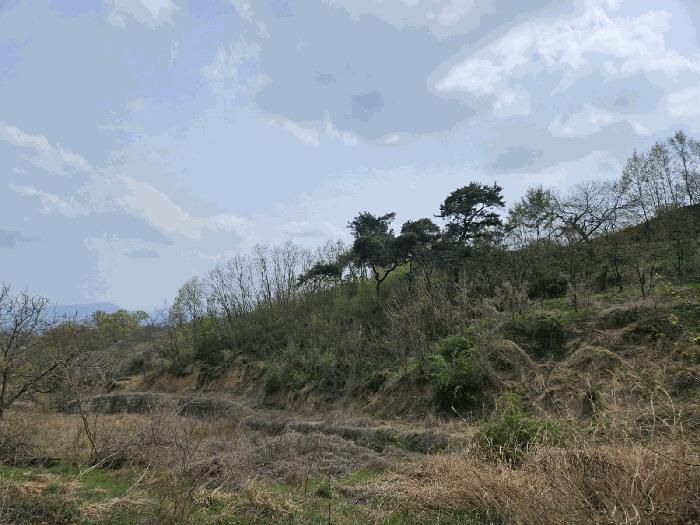 경상북도 김천시 양천동 산18 임야 경매 사진 4