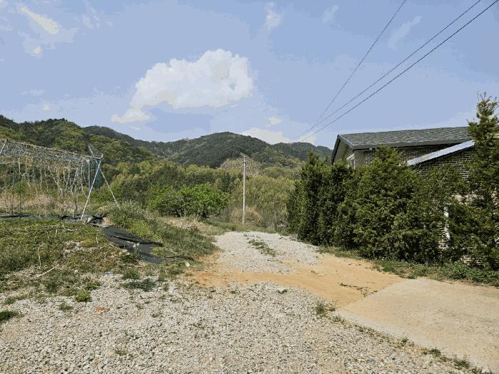 경상북도 김천시 양천동 산18 임야 경매 사진 6