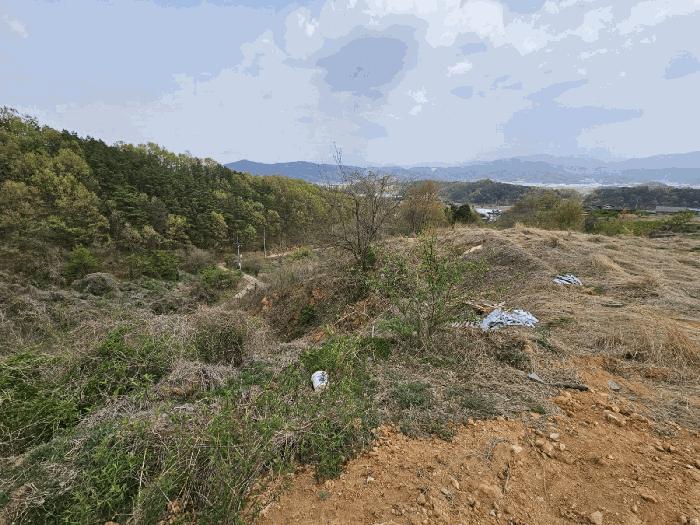 경상북도 김천시 양천동 산18 임야 경매 사진 7
