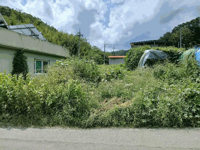 경상북도 김천시 남면 송곡리 110 대지 경매 사진 1