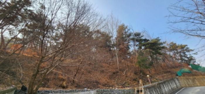경상북도 구미시 거의동 산92 임야 경매 사진 2