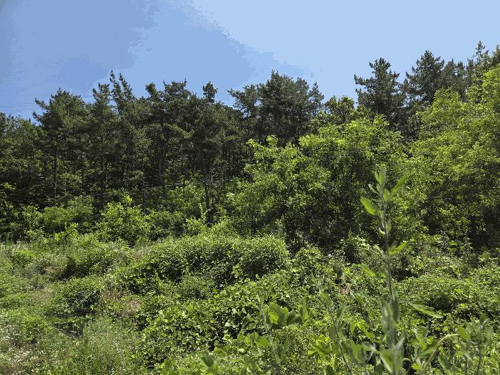 경상북도 구미시 해평면 해평리 449 근린주택 경매 사진 3