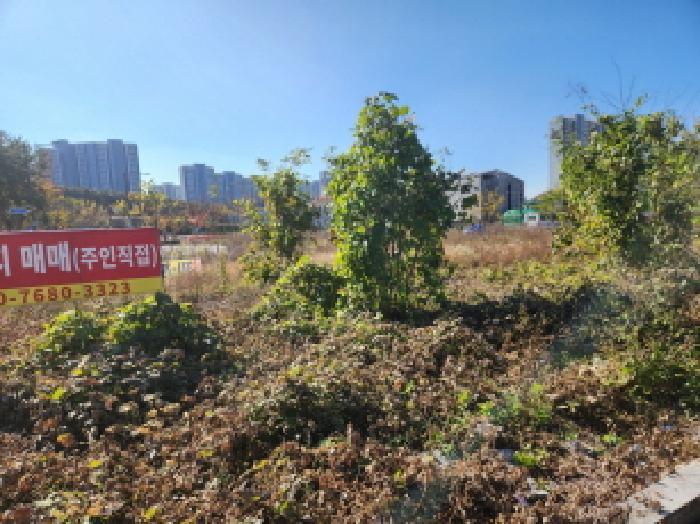 대구광역시 북구 국우동 1182-5 대지 경매 사진 3
