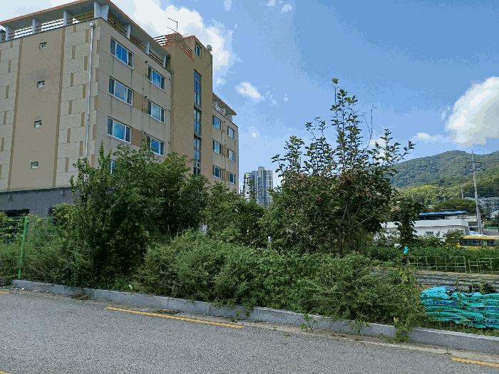경상북도 구미시 상모동 274-11 근린시설 경매 사진 3