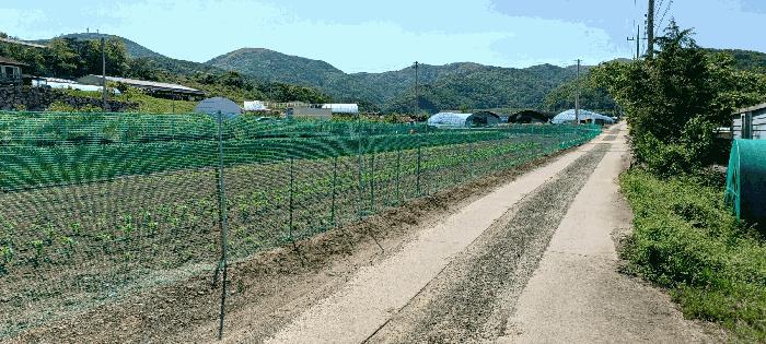 울산광역시 북구 무룡동 327-9 전 경매 사진 8