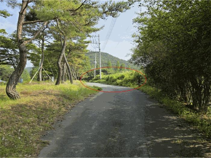 울산광역시 울주군 범서읍 사연리 285-12 과수원 경매 사진 1