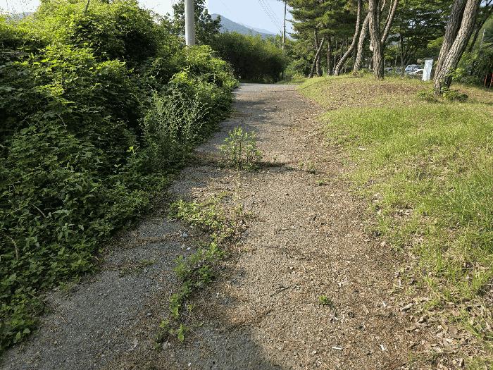 울산광역시 울주군 범서읍 사연리 285-12 과수원 경매 사진 5