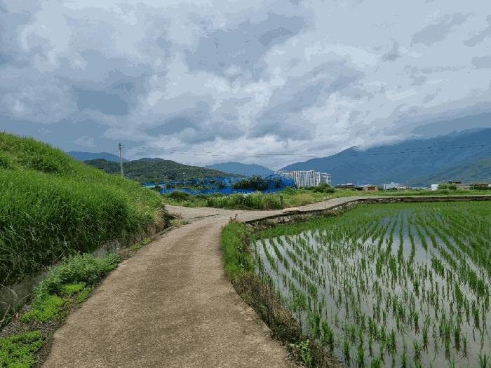 울산광역시 울주군 상북면 거리 241 답 경매 사진 3