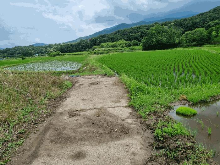 울산 울주군 답