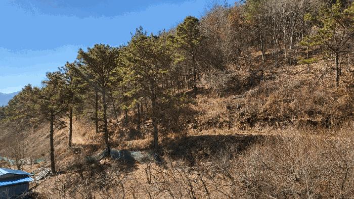 울산광역시 울주군 두서면 구량리 227 답 경매 사진 20