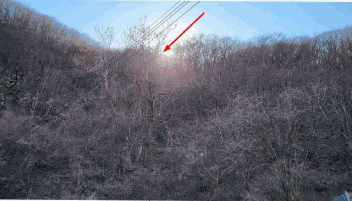 울산광역시 울주군 두서면 구량리 235-3 답 경매 사진 12