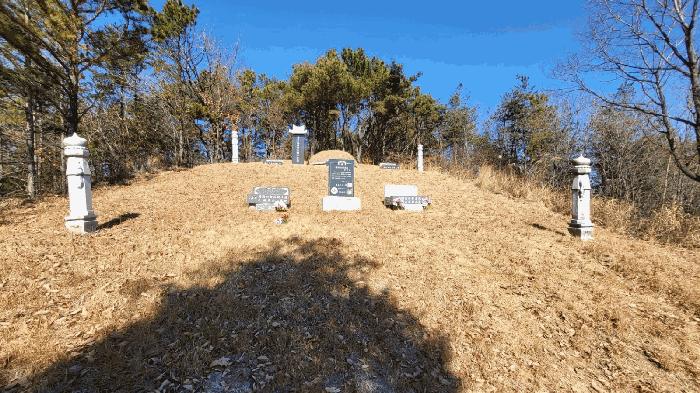 울산광역시 울주군 두서면 구량리 235-3 답 경매 사진 18