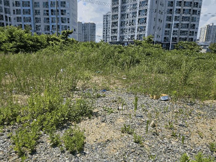울산광역시 북구 매곡동 926-4 대지 경매 사진 2