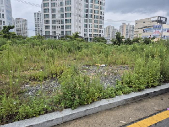 울산광역시 북구 매곡동 926-4 대지 경매 사진 6