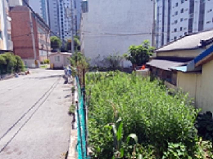 경상남도 창원시 진해구 마천동 145-43 답 경매 사진 9