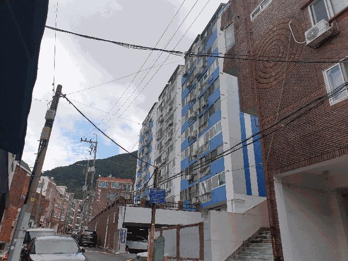 부산광역시 북구 구포동 1250-2 신진2차아파트 11층1106호 아파트 경매 사진 5
