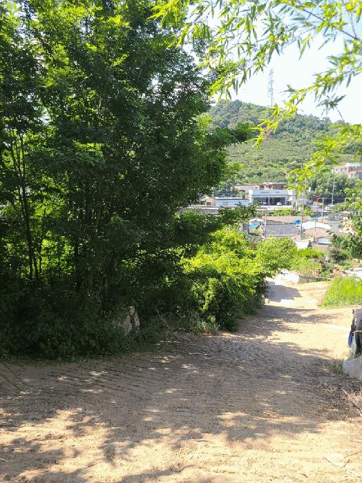 경상남도 김해시 진영읍 설창리 466-3 전 경매 사진 1