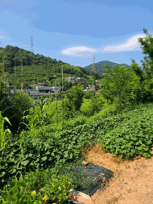 경상남도 김해시 진영읍 설창리 466-3 전 경매 사진 4