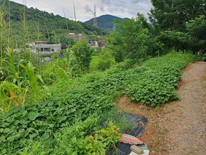 경상남도 김해시 진영읍 설창리 466-3 전 경매 사진 7