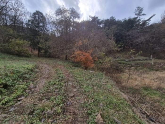 전라남도 장성군 동화면 구림리 370 전 경매 사진 10